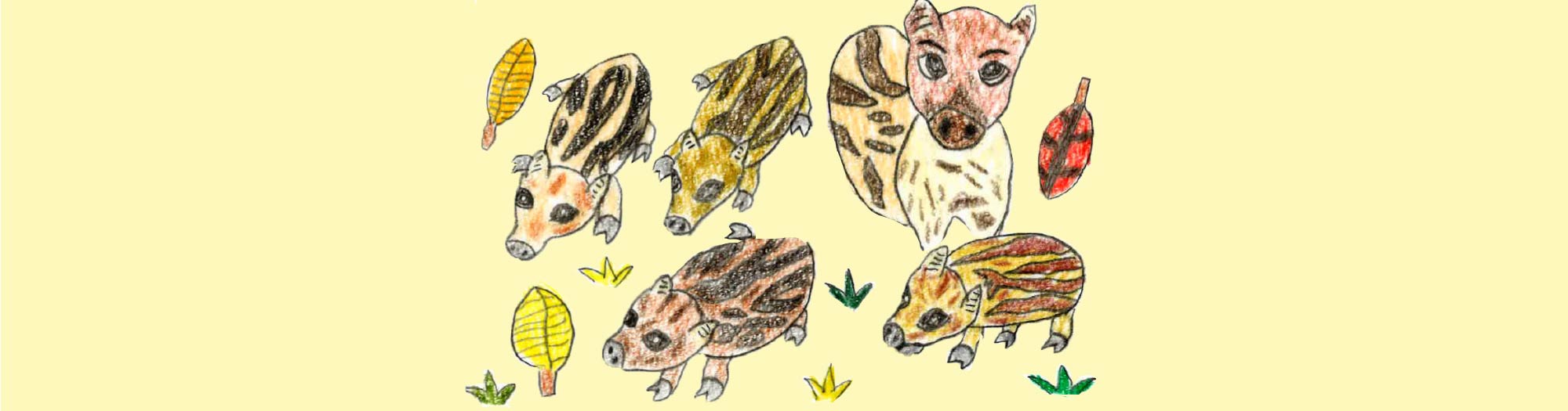 一日の流れページメインイメージ